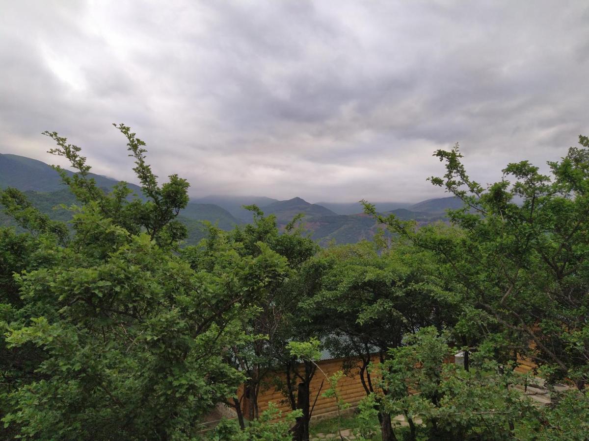 Old Halidzor Villa Kültér fotó